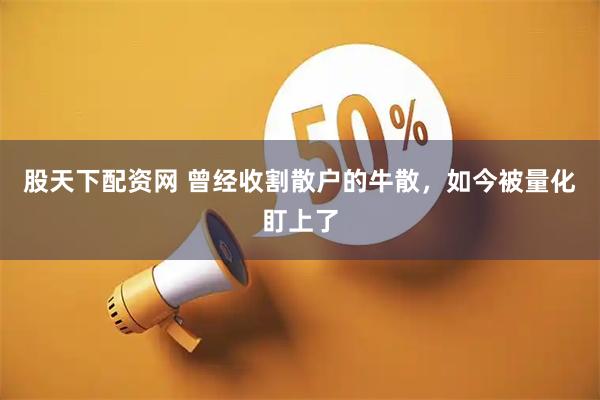 股天下配资网 曾经收割散户的牛散,如今被量化盯上了